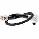 RED 14-Pin to BNC Cable, Compatible with the RED Wireless Motor Driver for Genlock, Timecode and Star/Stop Control (p/n 790-0416) RED 14-Pin to BNC Cable, Compatible with the RED Wireless Motor Driver for Genlock, Timecode and Star/Stop Control (p/n 790-0416)